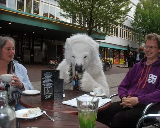 x0gwiodembdwkfn1u4m8u85jv 175043