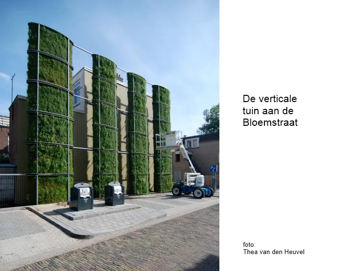 x61hjki21pq3su3z08r03qvxo 174633