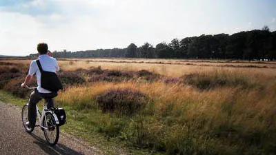 xel42y5icw8bgaayn9xdiyd2l hqveluwe look o like