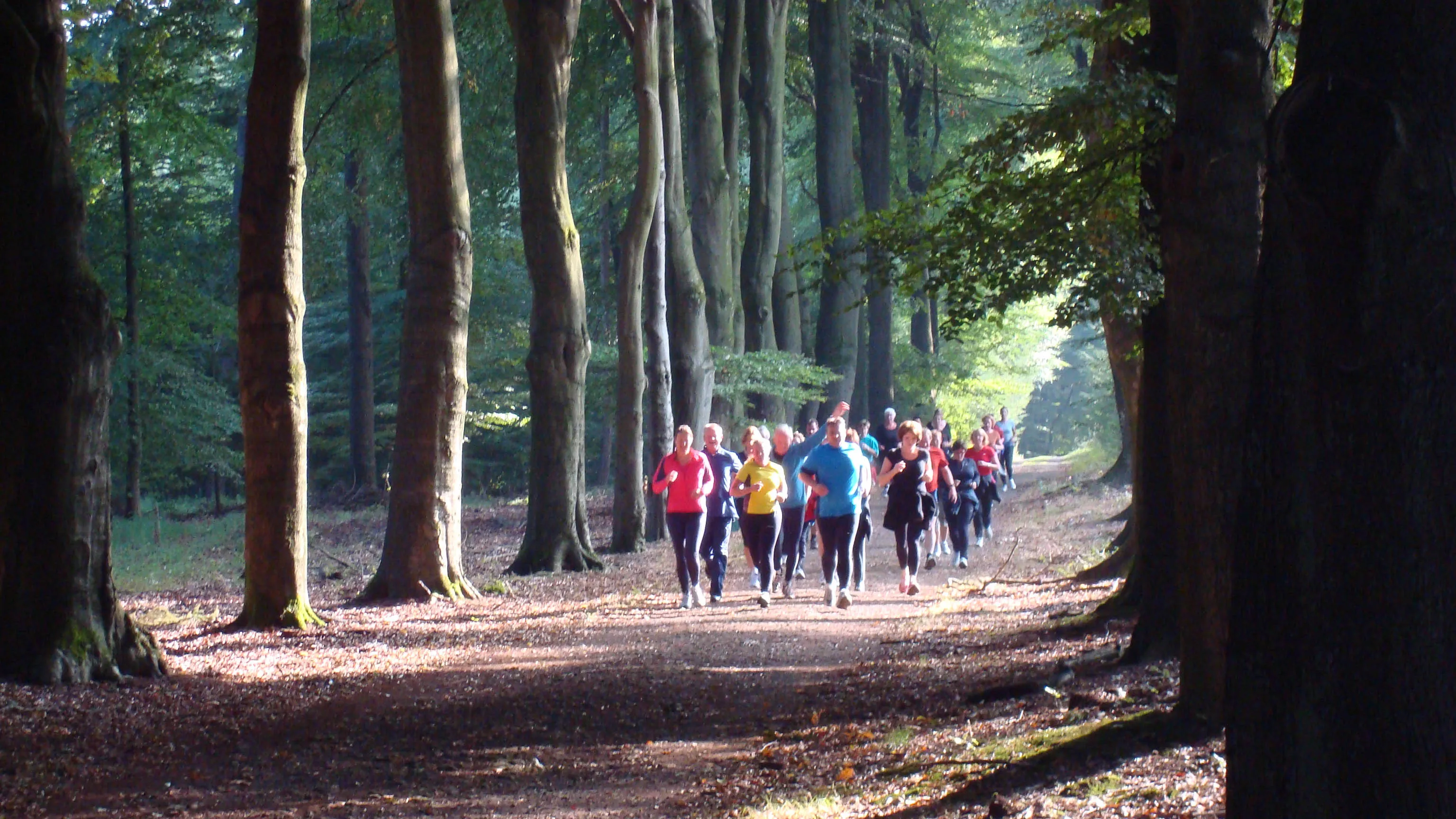 xvt50d02ty5my7yaly03bv3ma hollen20bij20gelre