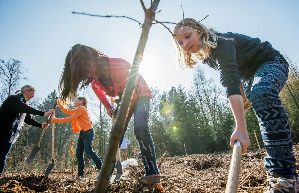 y7s9i1cxboxzatww81cr7l4jq glgkboomplantdagrosendael2014rs 34 foto rob schouten