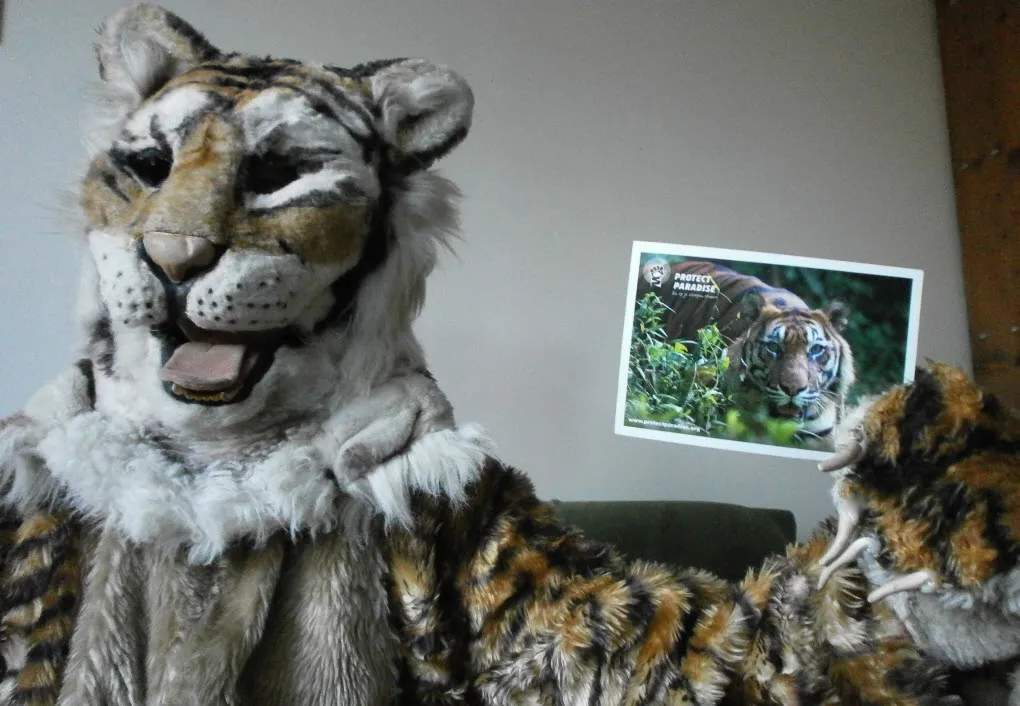 yqagp0qk61ctqbj0q0663ugm1 tijgeractie