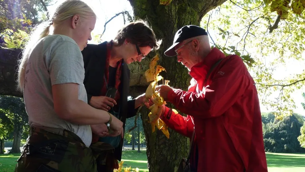 zh8caa5u1ql1fif31coz19iba groencursus nivon arnhemfoto martin van rijn van atteveldt