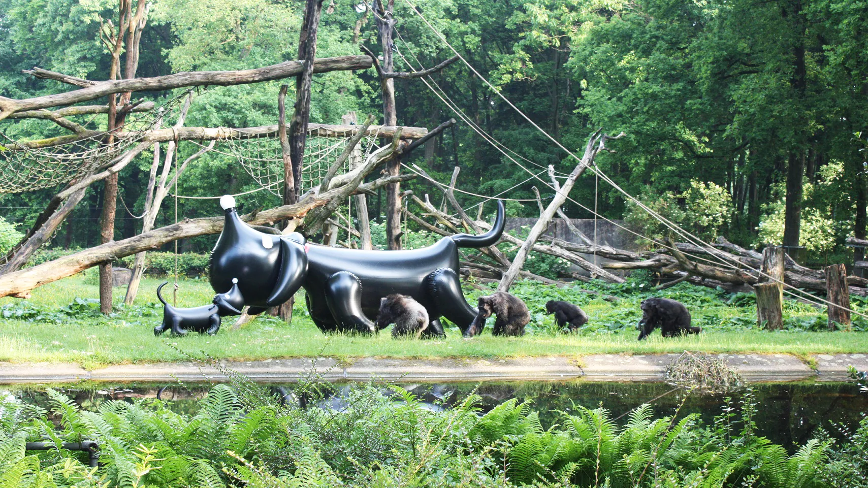 zhs1pc7ptjkxab7eqph95md0g takkie20in20burgers2720zoo