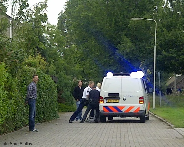 zvz95ss8swqp9w09pvpt7dbp6 176750