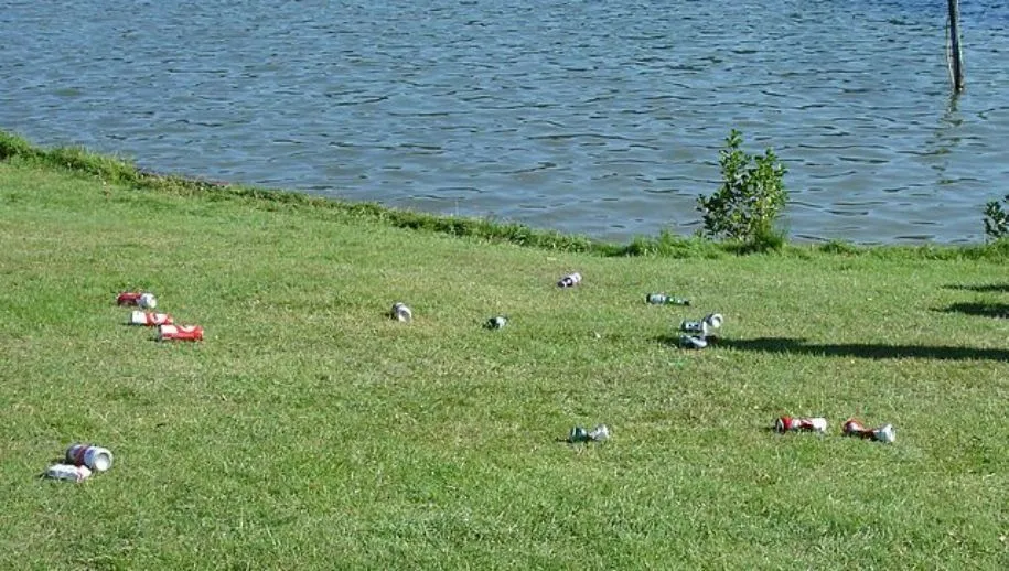 zwerfafvalhandigeharrywikimedia 915x518 1