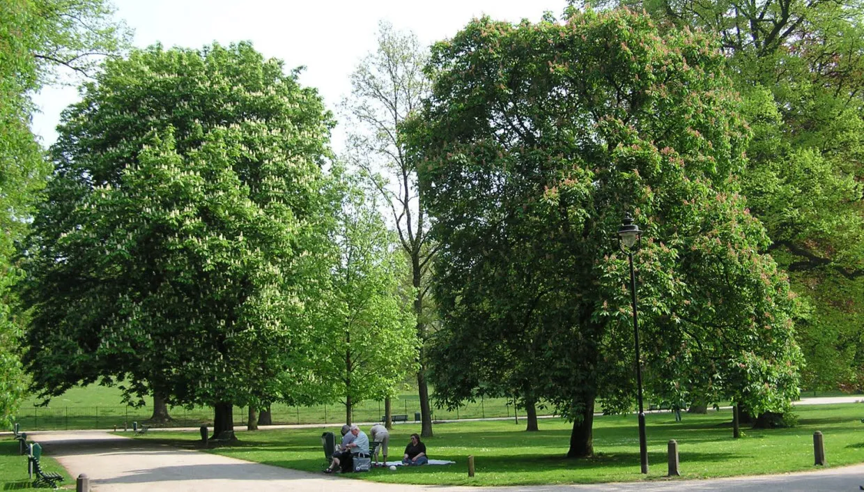 zyxyryzg63z1v8fhkglq7tj9r kastanjes