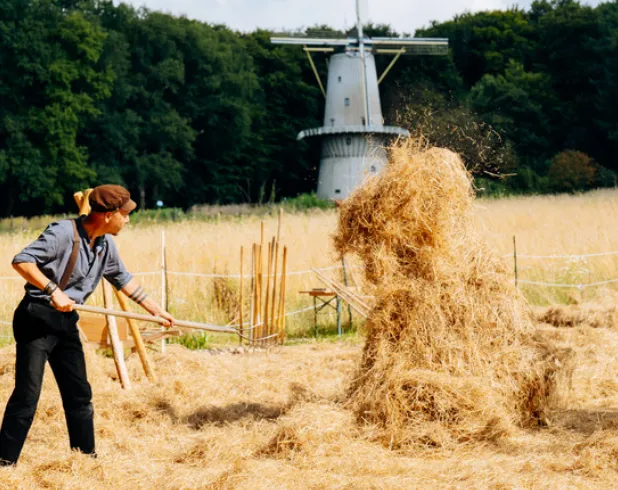 hooien nederlands openluchtmuseum