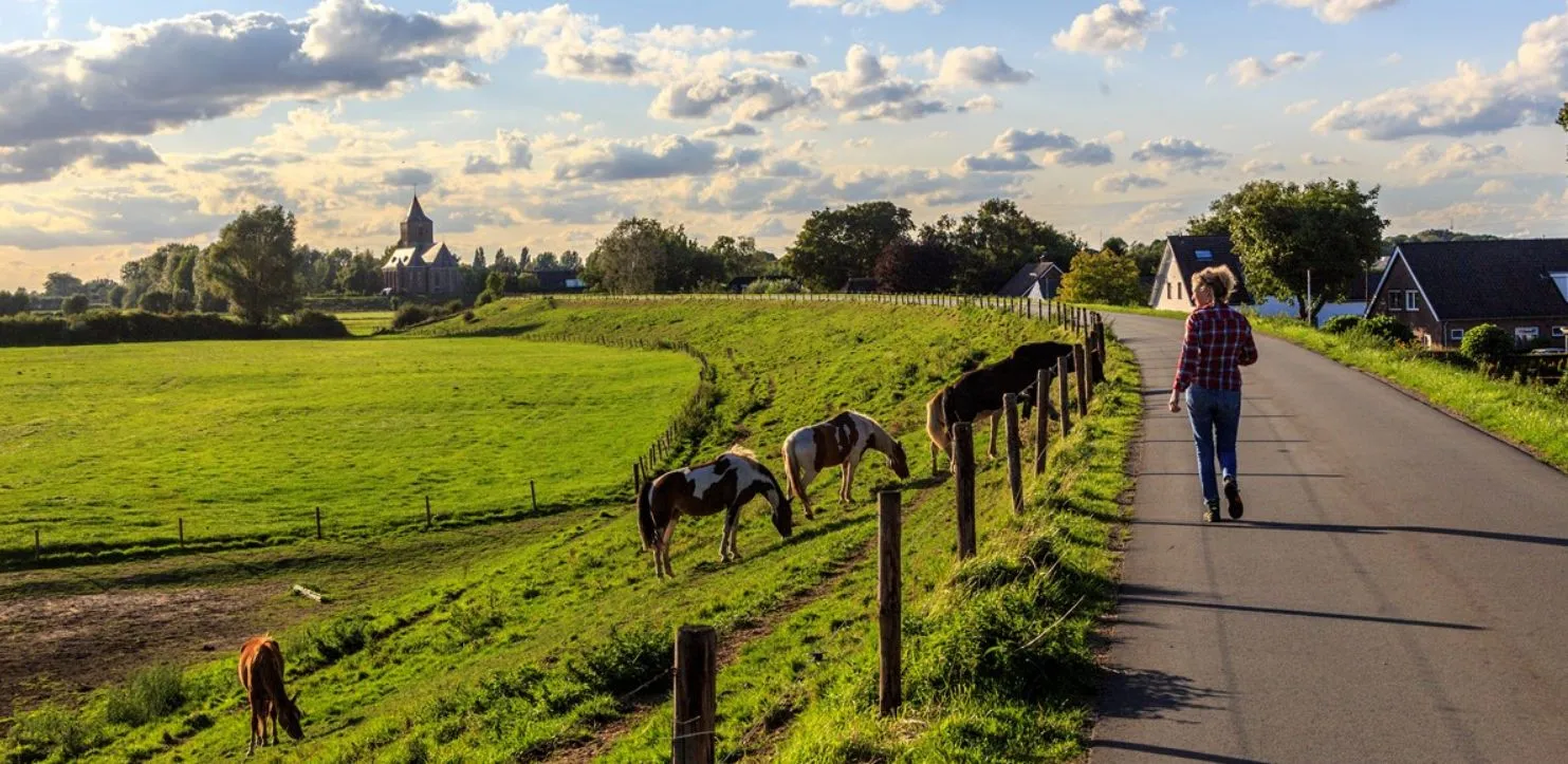 wandelnetwerk arnhemnijmegenjpg jpeg afbeelding 1280 640 pixels
