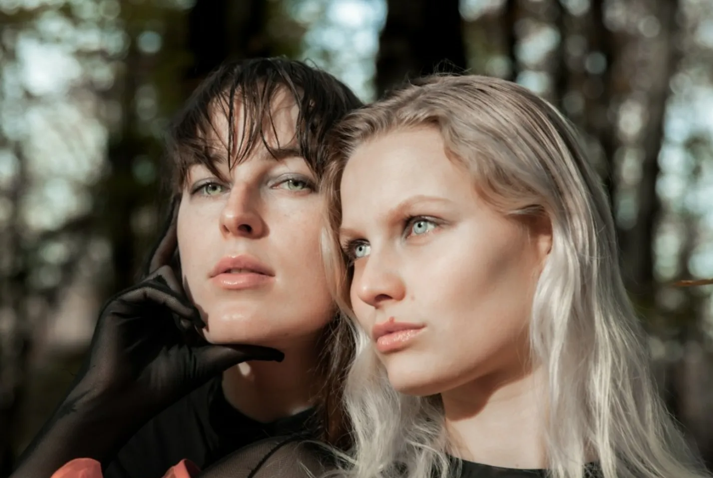 dag van de geschiedenisrozet 2024 voorstelling heksenhamerjpgmediaclass mastheadd50ac84d8fe6747257610e6cef440fa5384dc96djpg jpeg afbeelding 1600 900 pixels geschaald 73