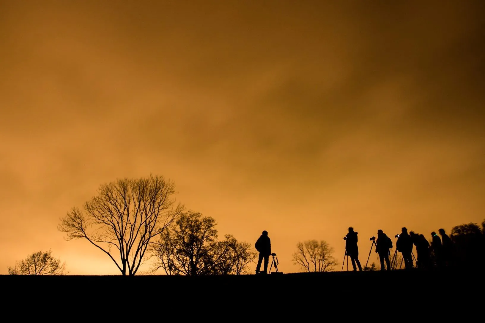 nacht van de nacht foto milou oomens rechtenvrij 1
