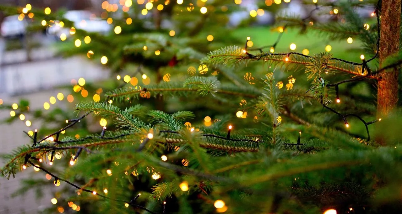 kerstlichtenpixabaychristmas tree 4683529 1280