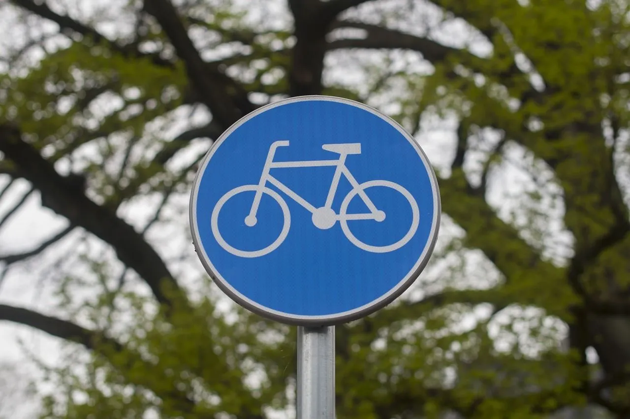 cycle path 4167412 1280