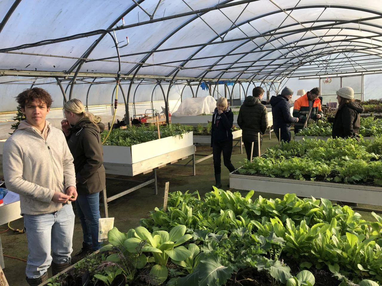 aeresmbovelpstudenten biologische teelt leren in de praktijk de kneepjes van het vak fotograaf taco ijzerman