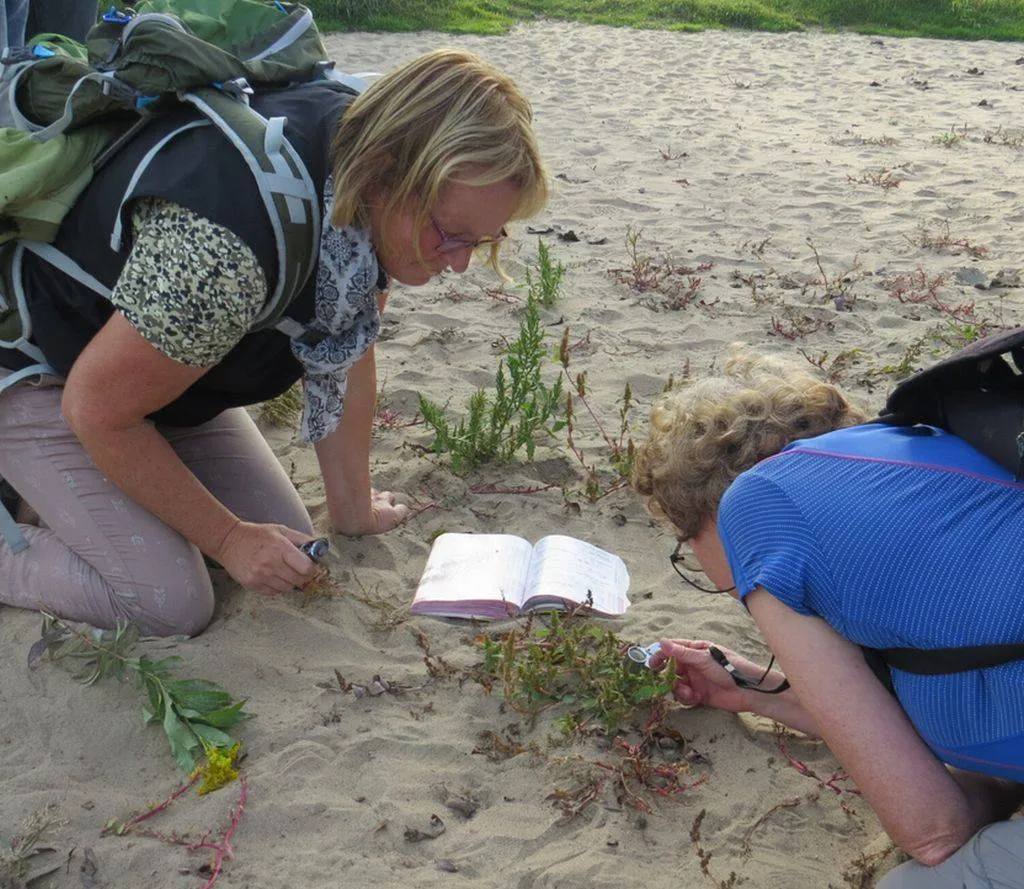 planten identificerencursus wil wamelinkknnvmeinerswijk 037 1536x1536jpg jpeg afbeelding 1536 1536 pixels geschaald 44