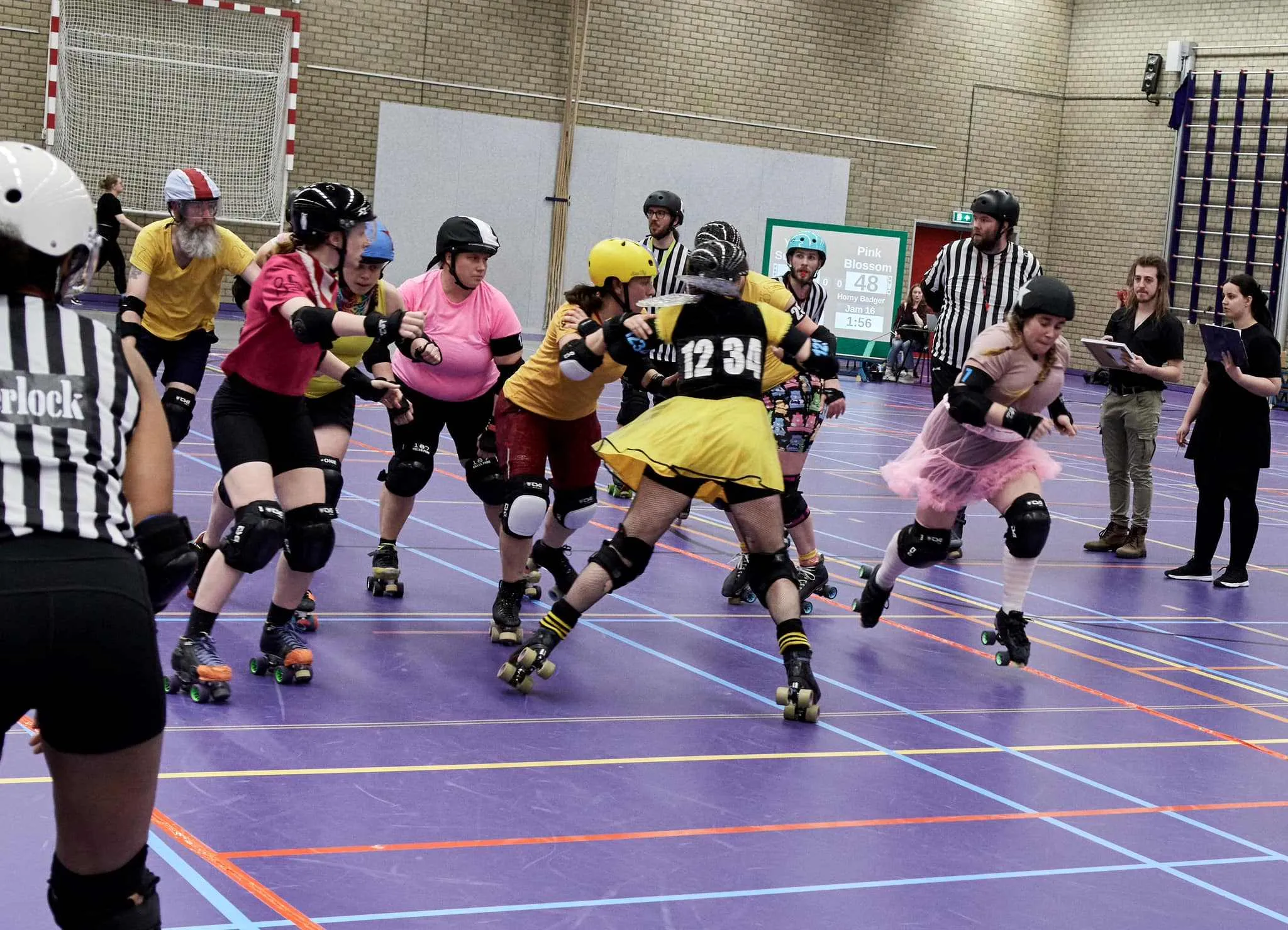arnhem fallen angelspink blossom vs yellow sunshine spring fling 2024