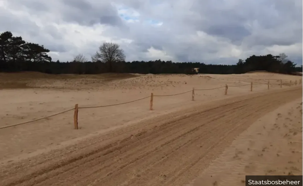 kootwijkerzandtijdelijke afsluiting kootwijkerzand wegens broedseizoen vogels