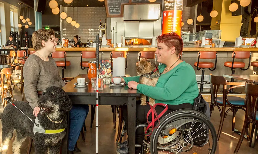 toegankelijkheidsfonds apcg arnhems platform chronisch zieken en gehandicapten