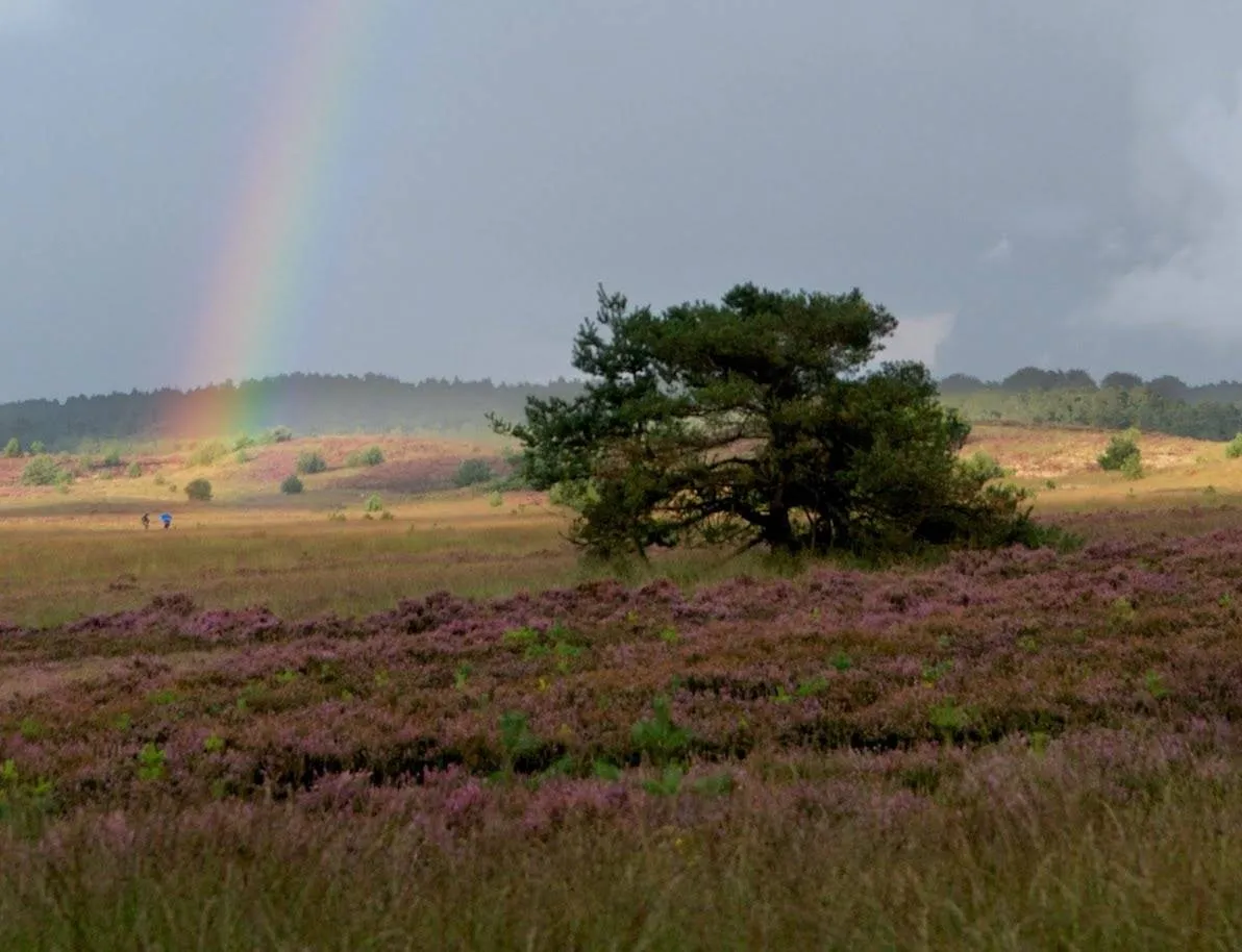 arnhem en defensienatuur