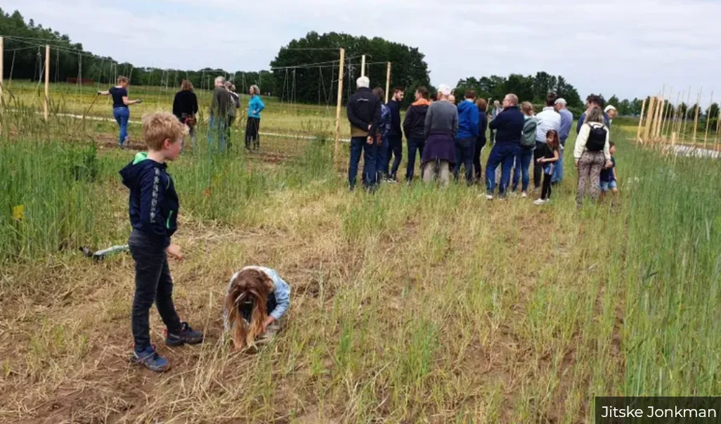 open dagen herenboerderij lingezegen grootstal op 14 en 21 junijitske jonkman