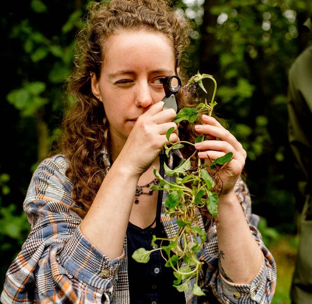 hvhl biodiversiteit