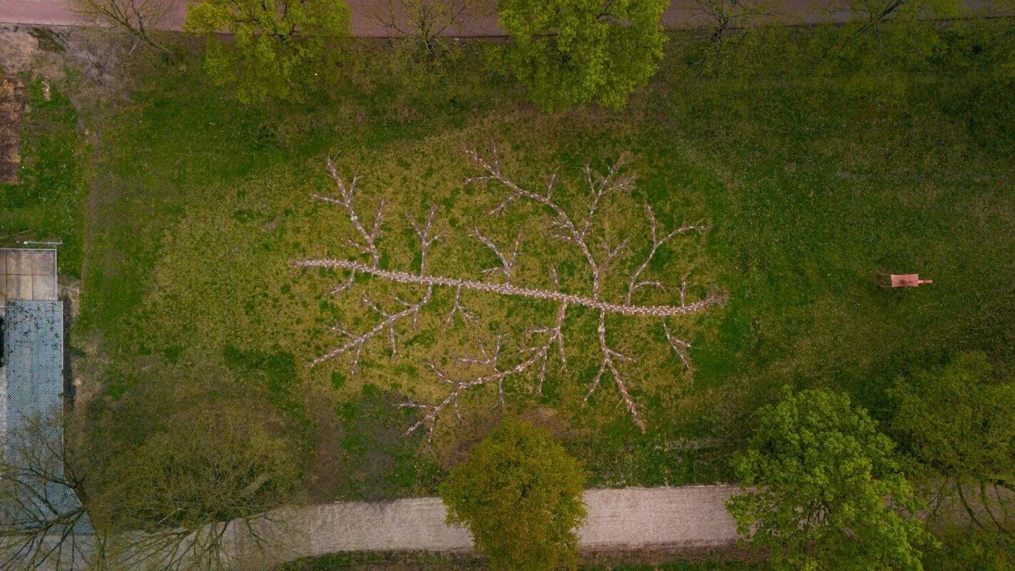 kunstwerkjennifer teemuseumpark 1422x800