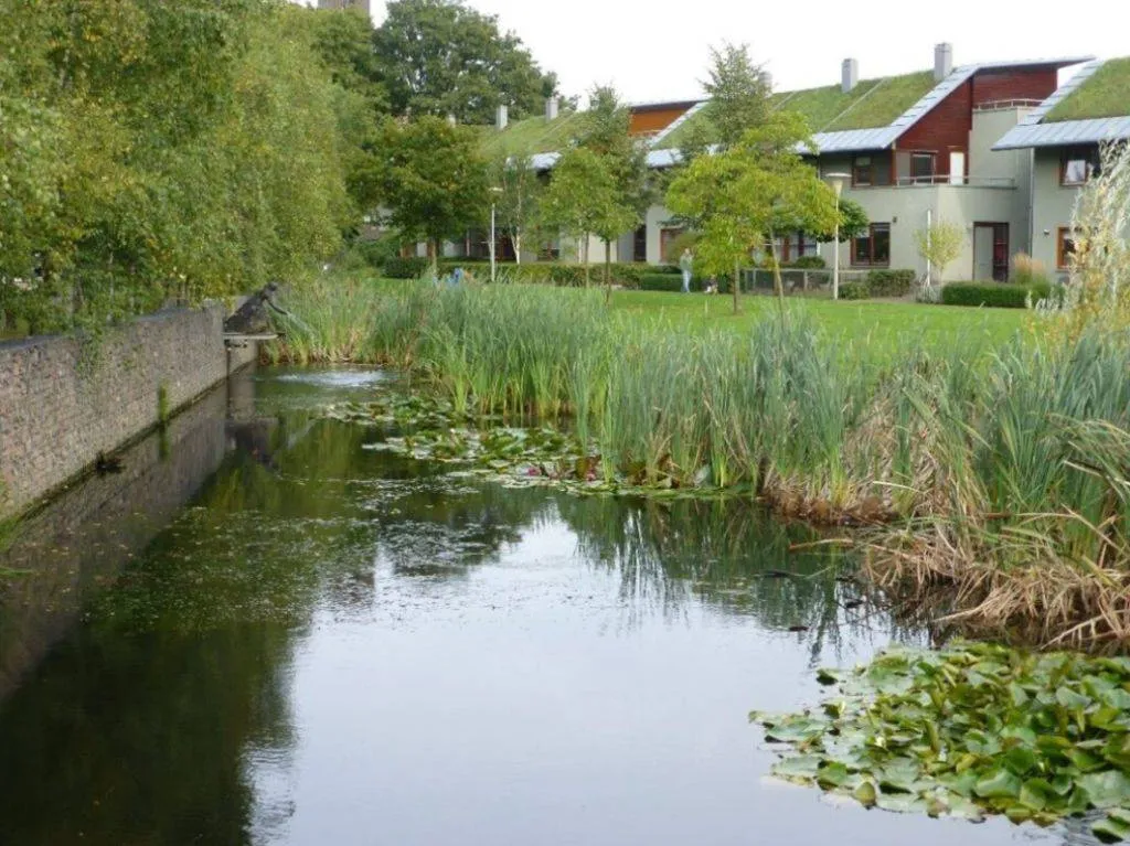 klimaat.Arnhem wapent zich ook de komende jaren tegen het veranderende klimaat - Gemeente Arnhem