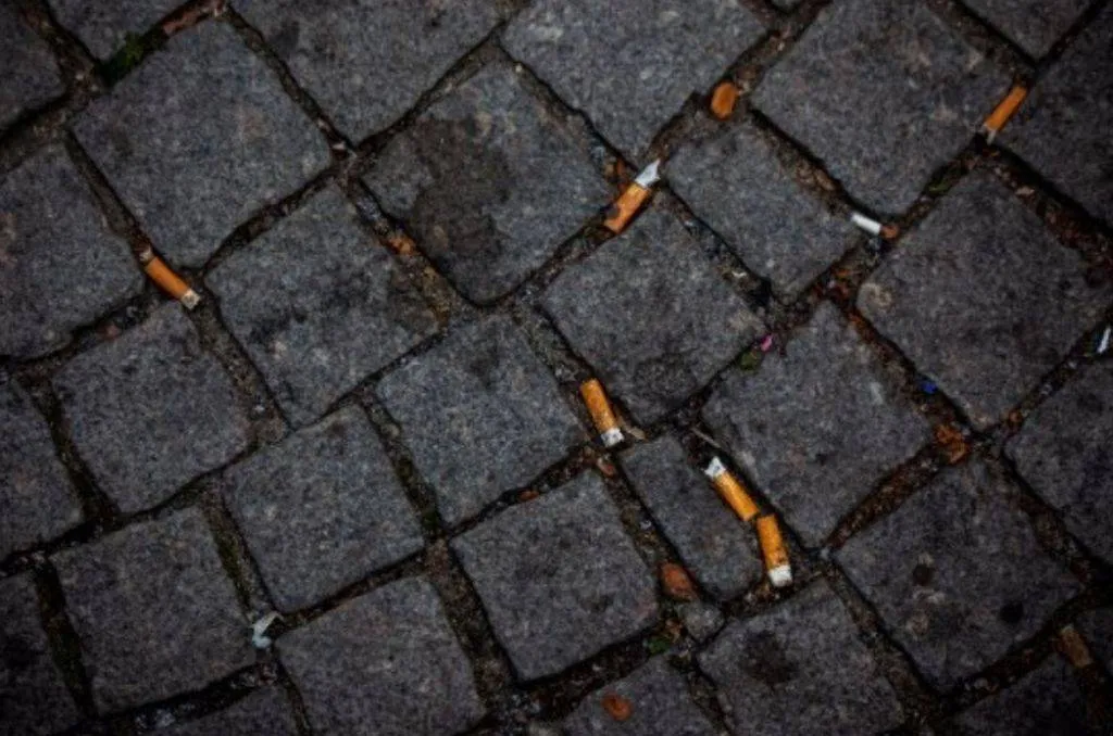 peukenafval tegen te gaan - Gemeente Arnhem