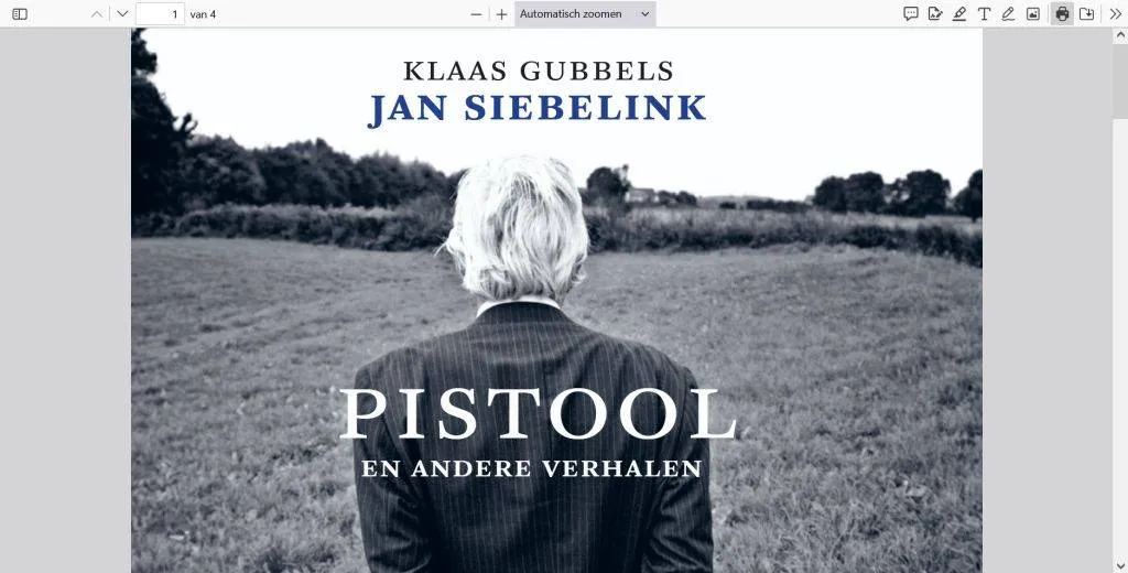 Vincent Mentzel.pistooldigitaal-2