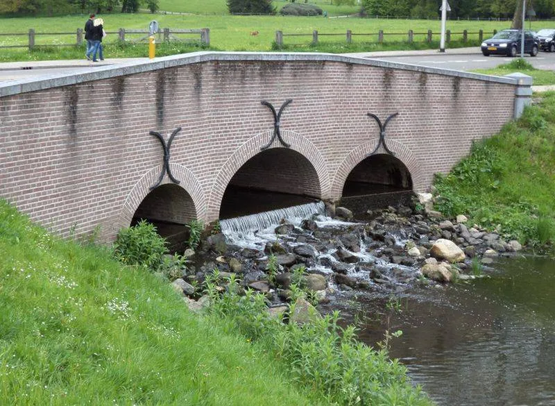 Stadsflora-wandeling in Arnhem . KNNV Afdeling Arnhem e.o