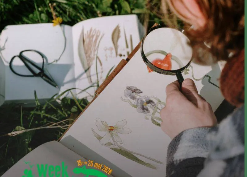 Workshops Botanisch tekenen in Velp