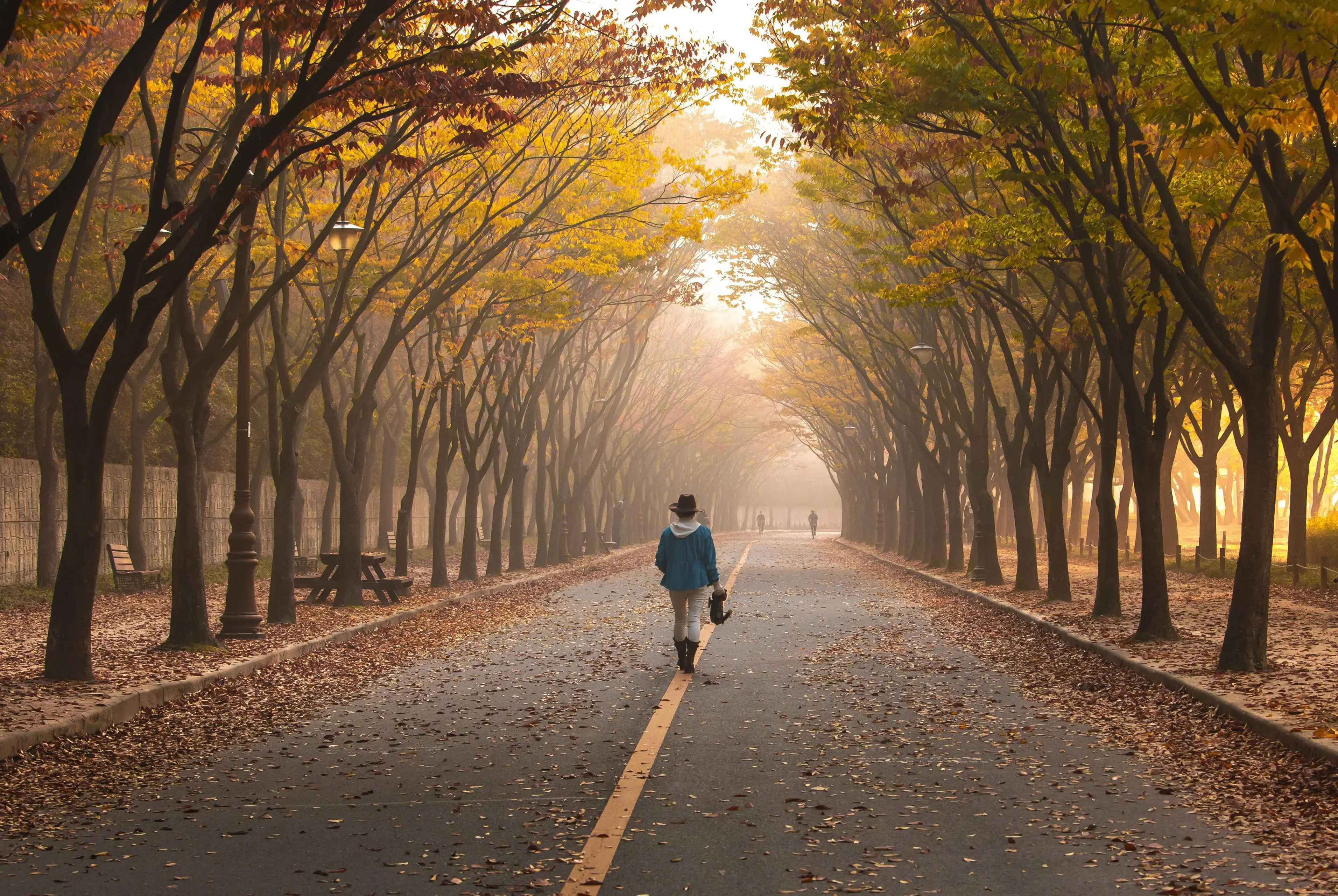 Herfst pixabay-5767221