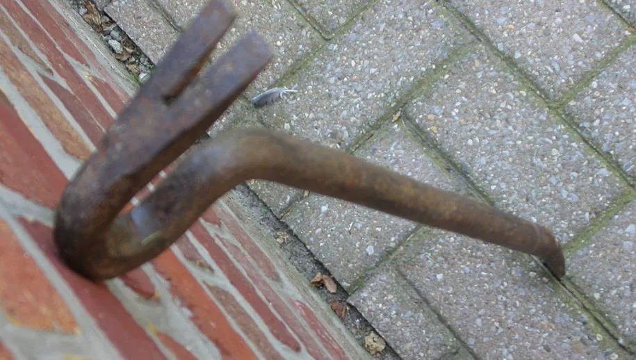 1024px detailvoetkoevoet cc by sa 30 lander 915x518 wikipedia lander