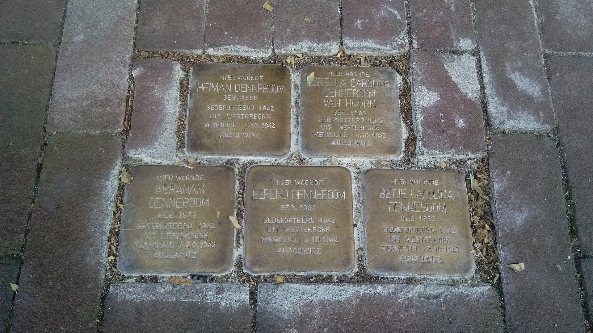 1920px family denneboom stolpersteine assen 2019 01 cc by sa 40 donald trung quo don