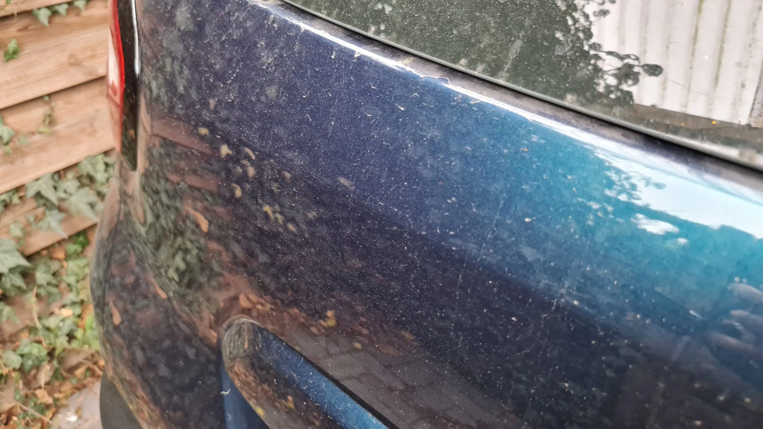 20230221 153714 scaled