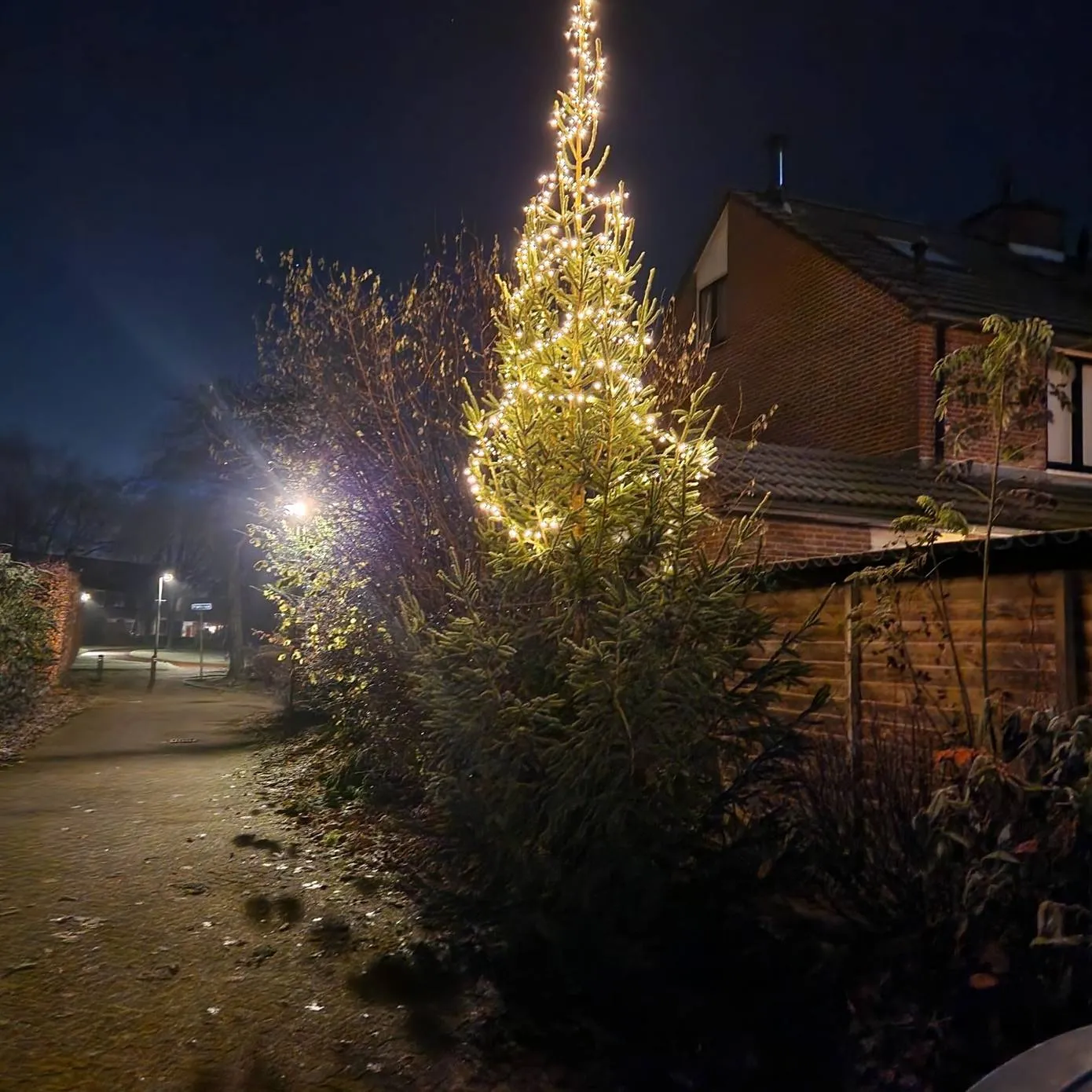 buurtkerstboom
