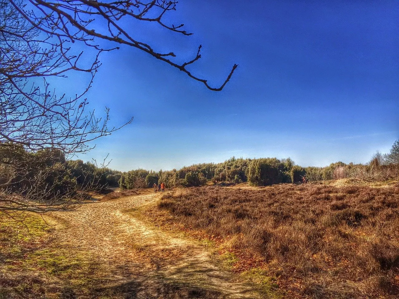 drenthe 683548 1280 0805edwin via pixabay
