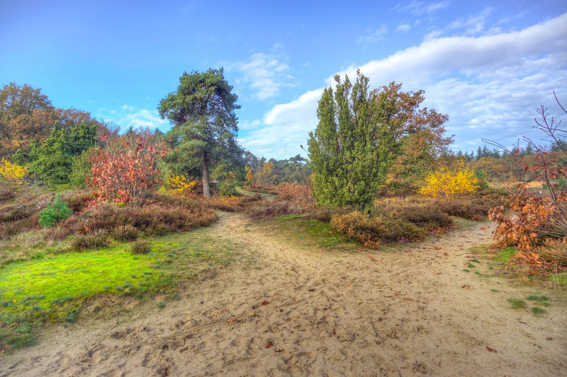 drentse natuur rudy and peter skitterians via pixabay