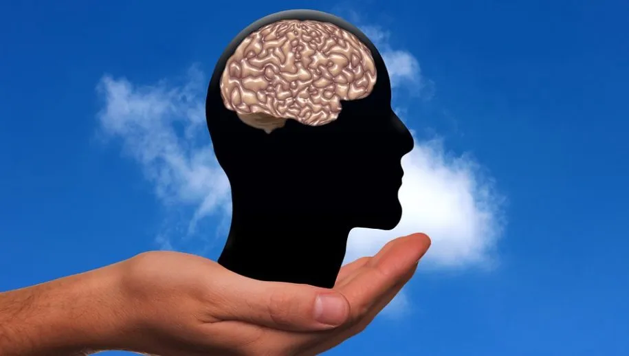 hersenen 915x518 1