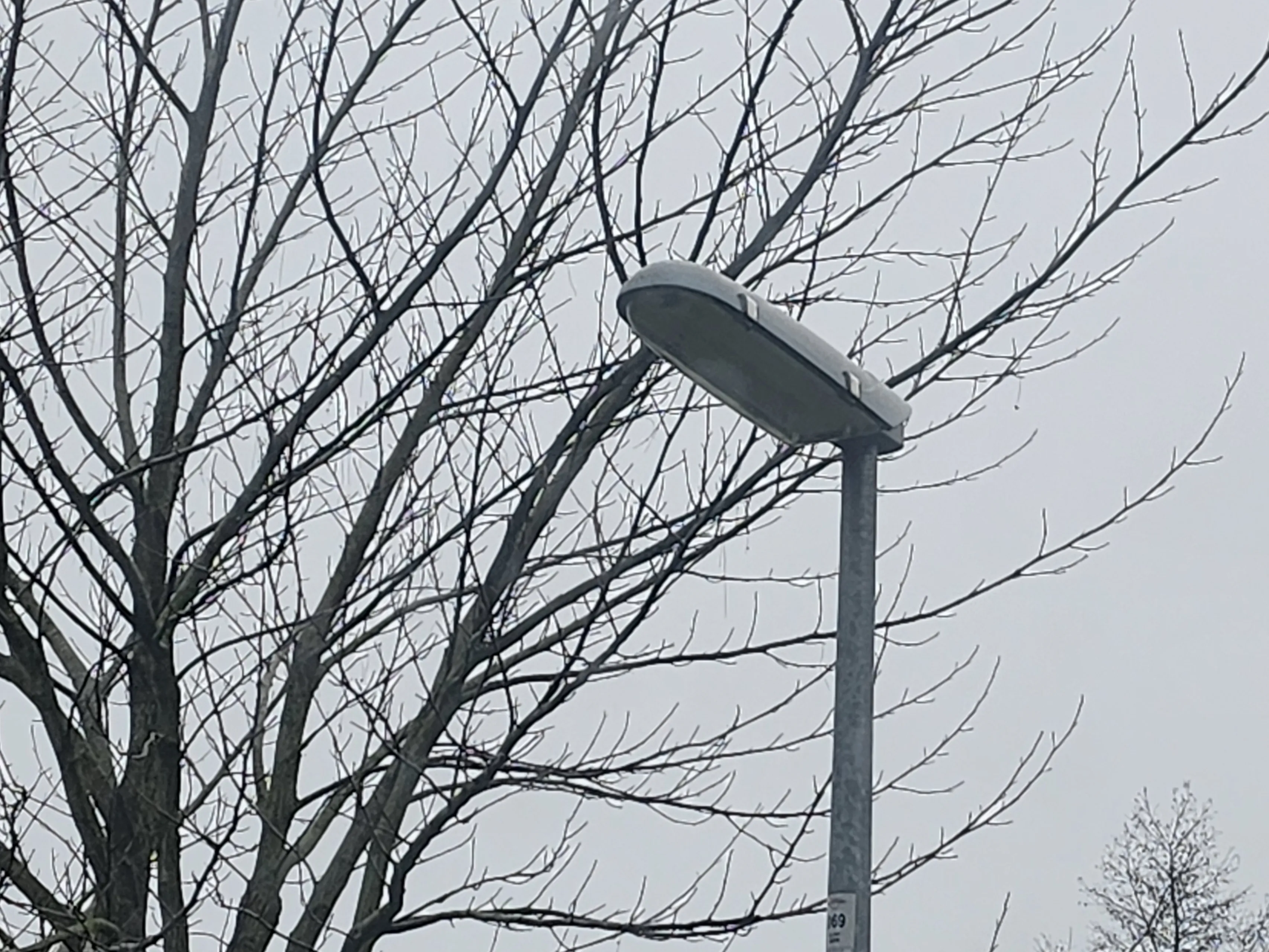 20240211 120637