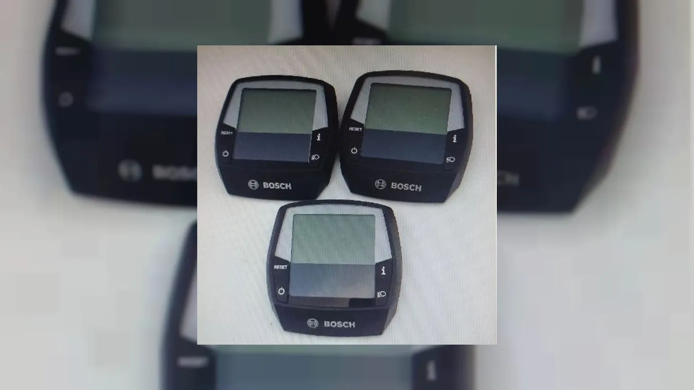 293939248 416739143813936 4929475363850790982 n