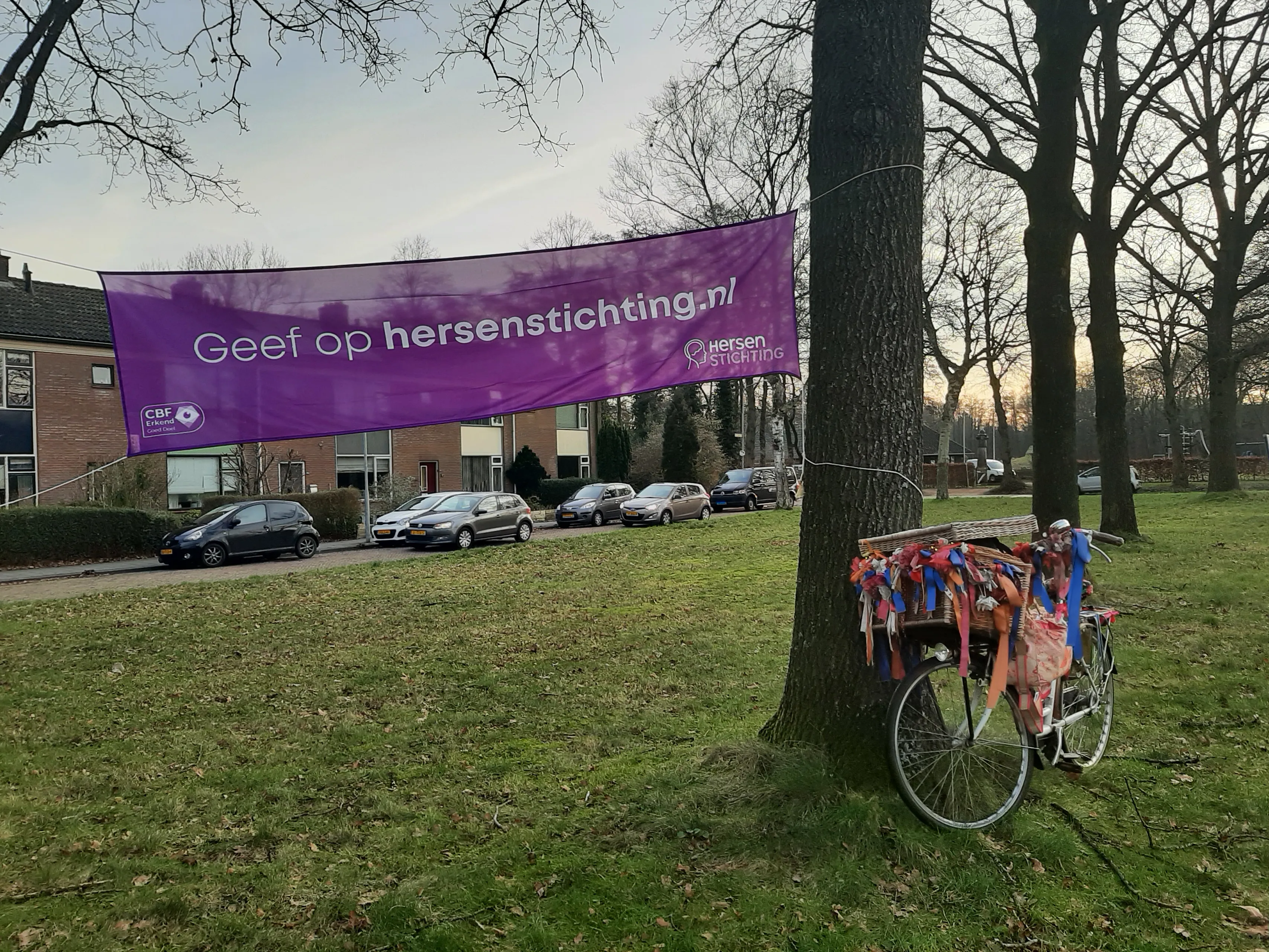 assen met fiets van tineke