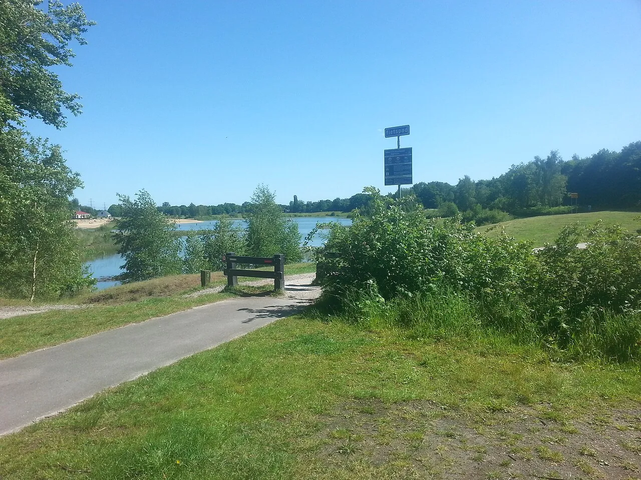 baggelhuizerplas cc by sa 40 wikipedia commons grasmat