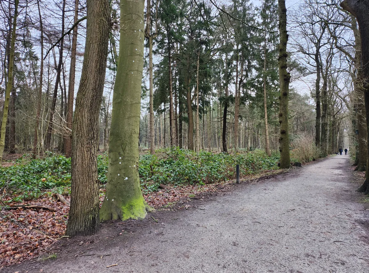 bomen asserbos