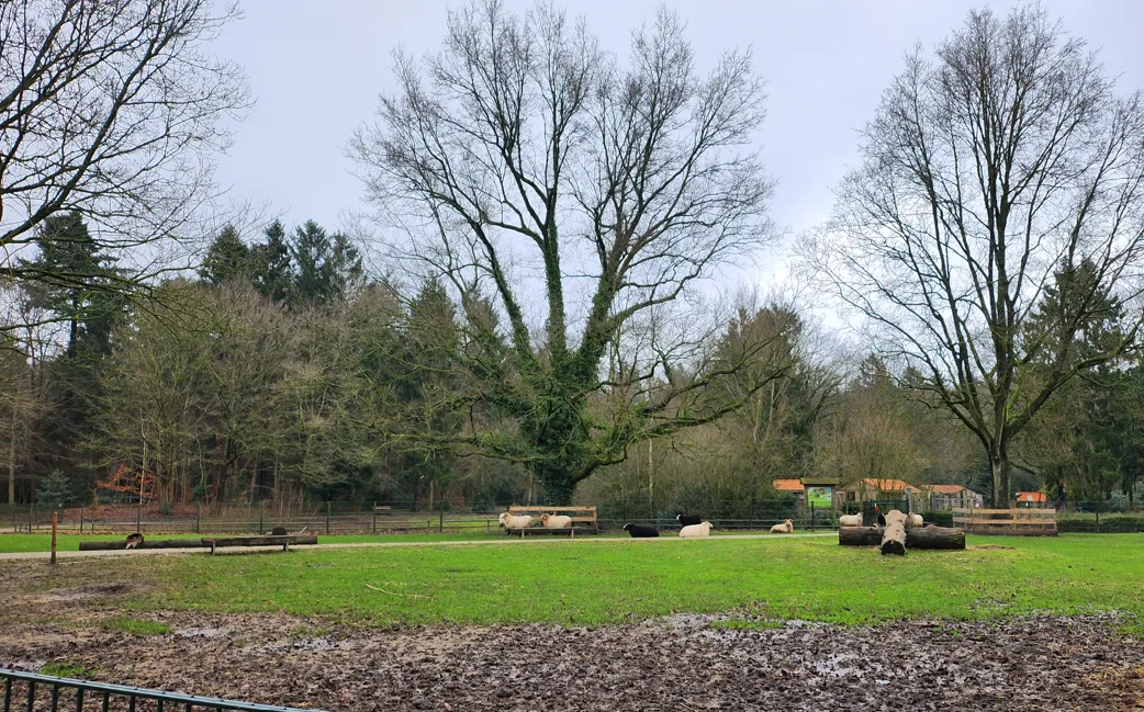 duurzaamheidscentrum