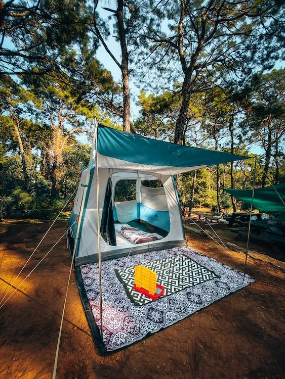 free photo of natuur bos bomen park camping kamperen