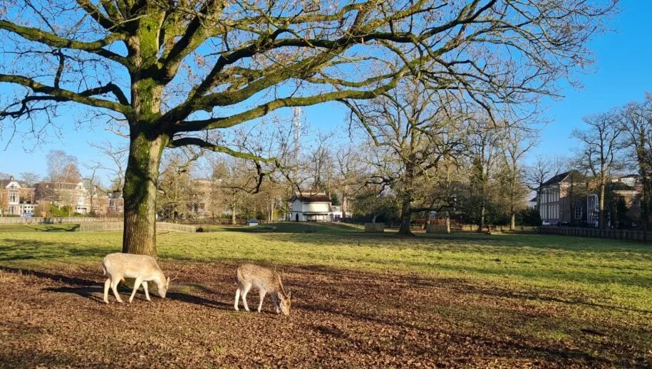 hertenkamp