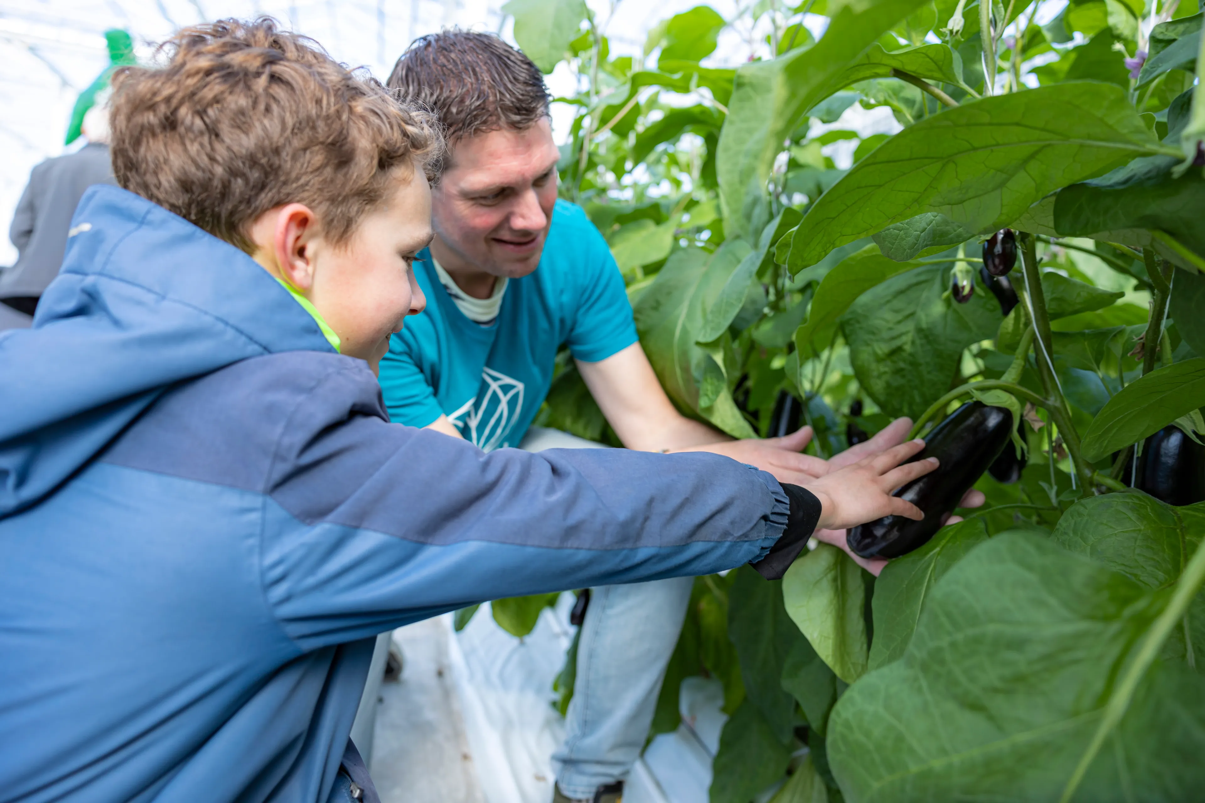 img 3027 at rolfvankoppenfotografie