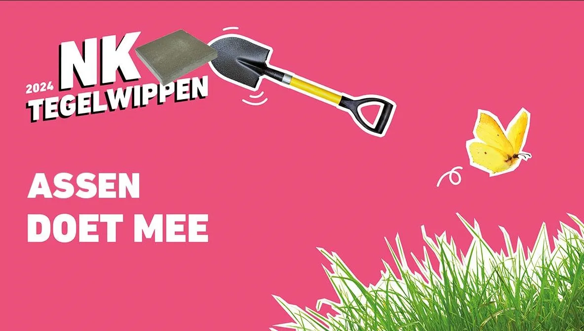 nk tegelwippen assen