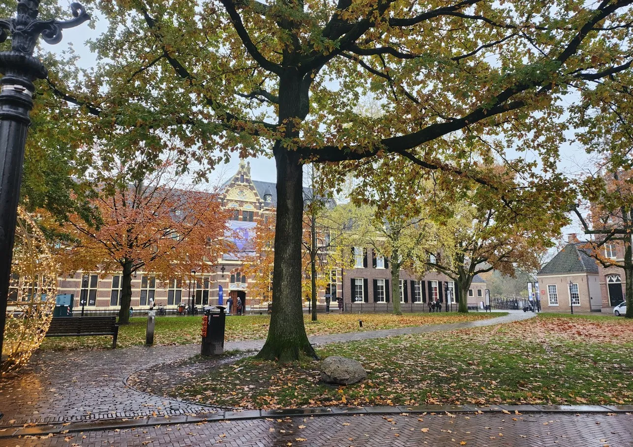 provinciehuis herfst regen